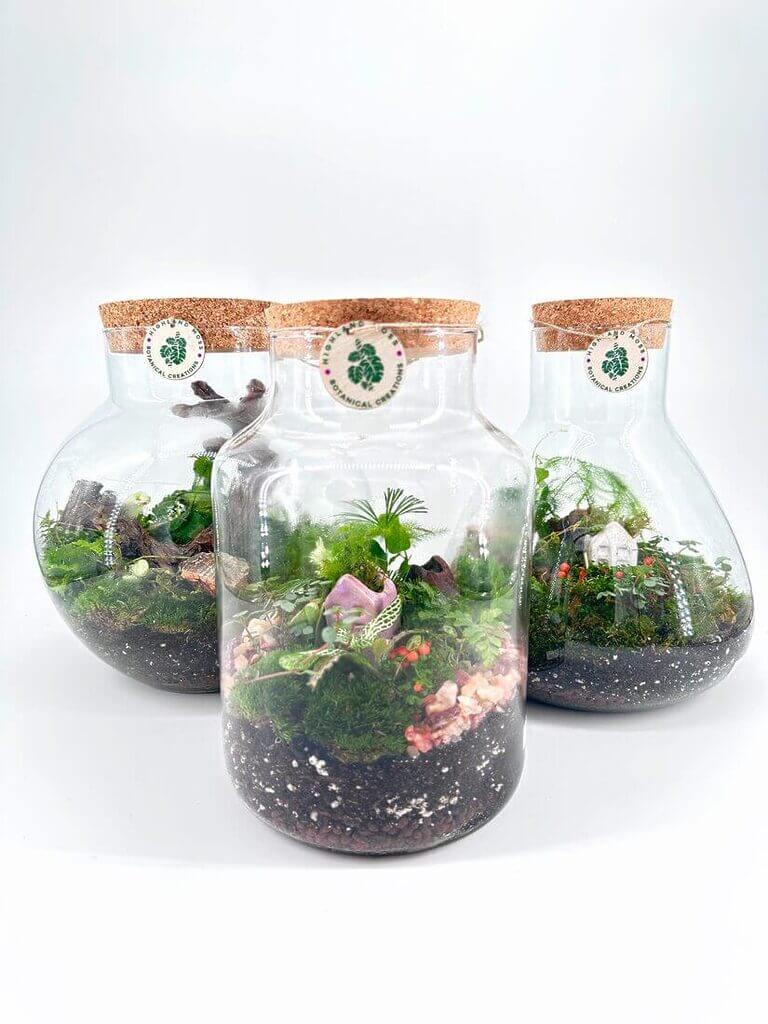 Beautiful terrariums showcasing mini ecosystems with vibrant plants and decorative elements.
