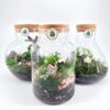 Beautiful terrariums showcasing mini ecosystems with vibrant plants and decorative elements.