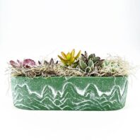 Textured green succulent planter with diverse plants and decorative moss for a natural display.