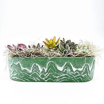 Textured green succulent planter with diverse plants and decorative moss for a natural display.