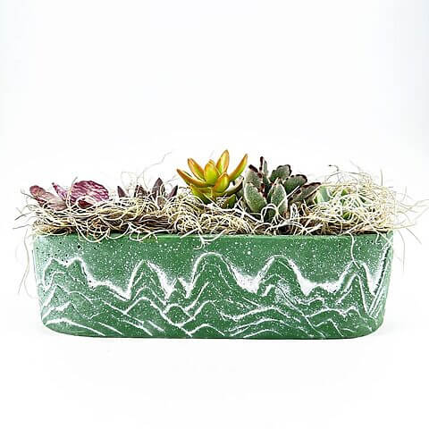 Textured green succulent planter with diverse plants and decorative moss for a natural display.