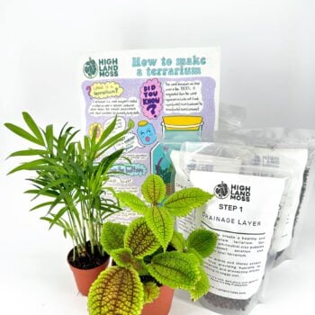 Terrarium Substrate Layers and Plants Kit