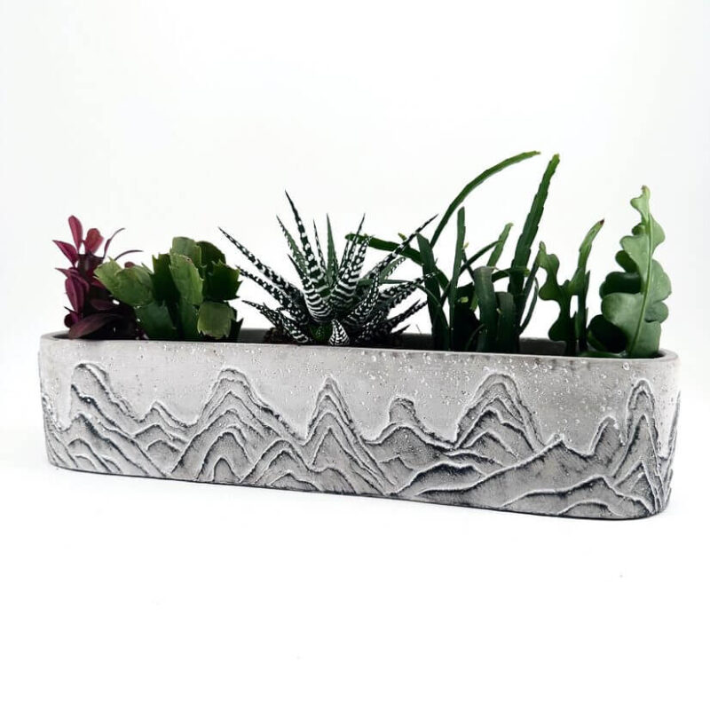 Textured Concrete Succulent Planter with Artistic Design Stylish succulent planter in textured concrete with diverse green plants and artistic mountain design.