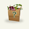 A cardboard box marked with a question mark, filled with a vibrant assortment of leafy houseplants peeking out, symbolising the surprise selection of rescued imperfect plants.