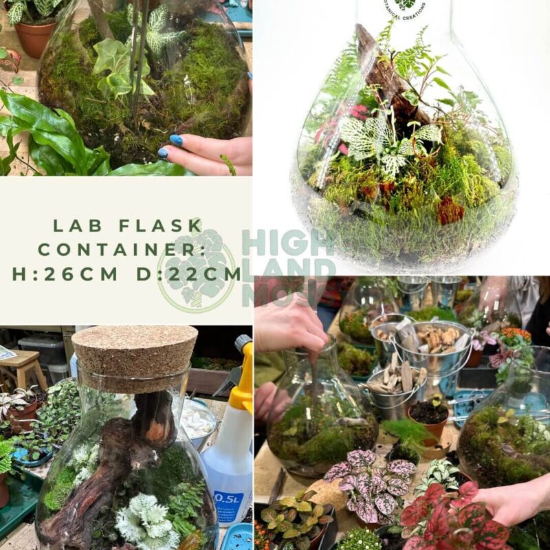 Crafting a Lush Terrarium Community Experience Collaborative terrarium-building scene featuring lush greenery and intricate plant arrangements in a glass flask.