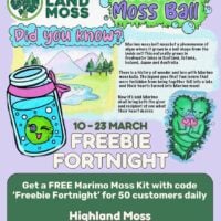Highland Moss promotional flyer for Marimo moss balls event with engaging visuals and free kits.
