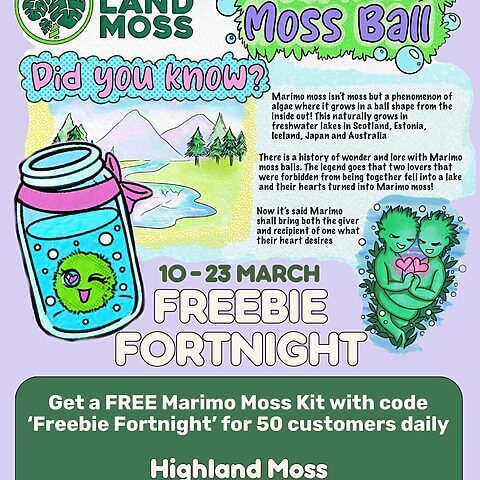 Highland Moss promotional flyer for Marimo moss balls event with engaging visuals and free kits.