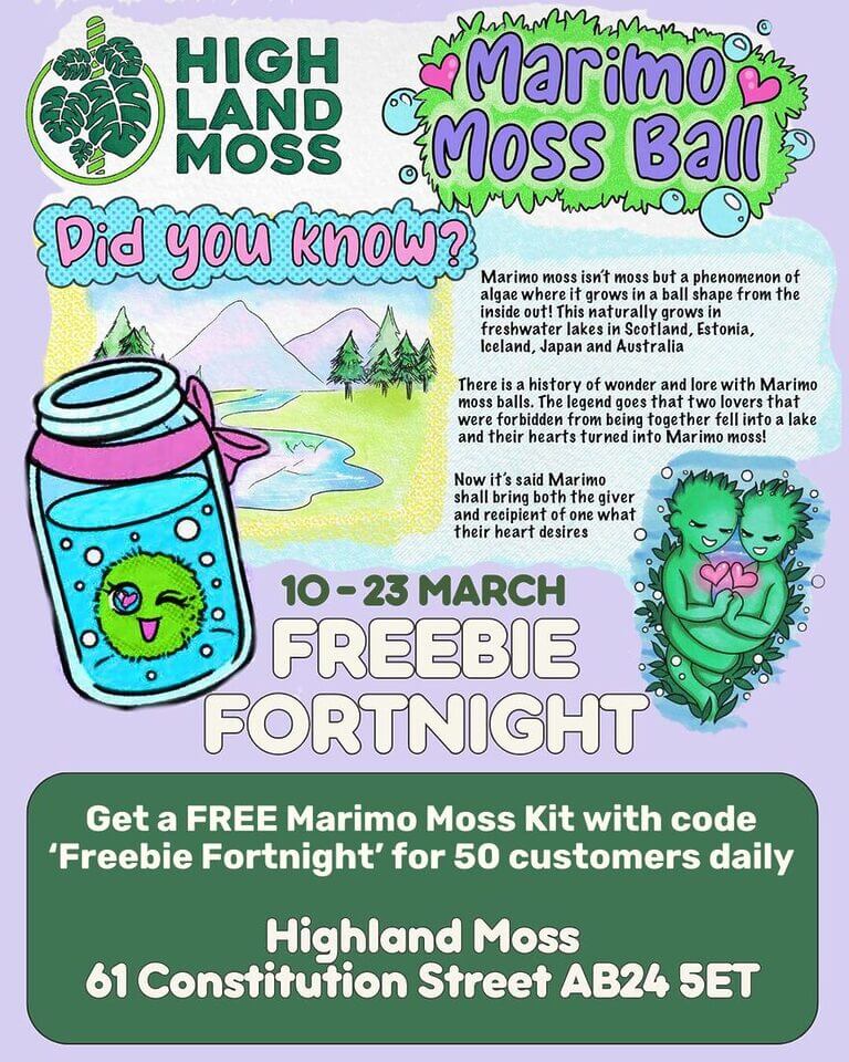 Highland Moss promotional flyer for Marimo moss balls event with engaging visuals and free kits.