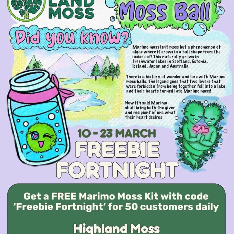 Highland Moss promotional flyer for Marimo moss balls event with engaging visuals and free kits.