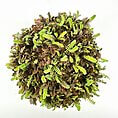Vibrant spherical cluster of lush ferns showcasing intricate greenery and natural beauty.