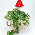 Charming ceramic pot with vibrant plant and whimsical red mushroom decoration for home decor.