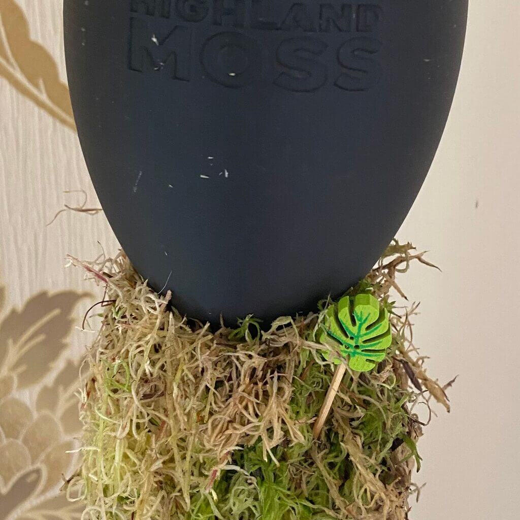 Image #2 from Ellen