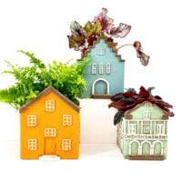 Colourful house-shaped plant pots with vibrant greenery on white background.