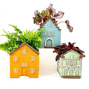 Colourful house-shaped plant pots with vibrant greenery on white background.
