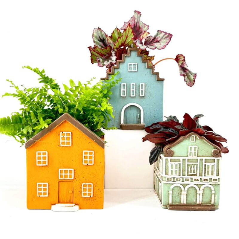 Charming House Planters with Vibrant Greenery Colourful house-shaped plant pots with vibrant greenery on white background.