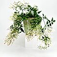 Elegant floral arrangement in a striped green pot with white and pink blooms.