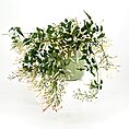 Vibrant floral arrangement with green leaves in a textured pale green pot.