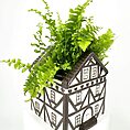 Artistic house-shaped planter with lush green ferns enhances interior decor.
