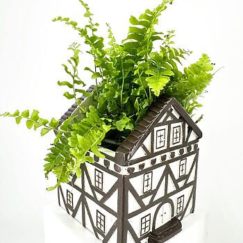 Artistic house-shaped planter with lush green ferns enhances interior decor.