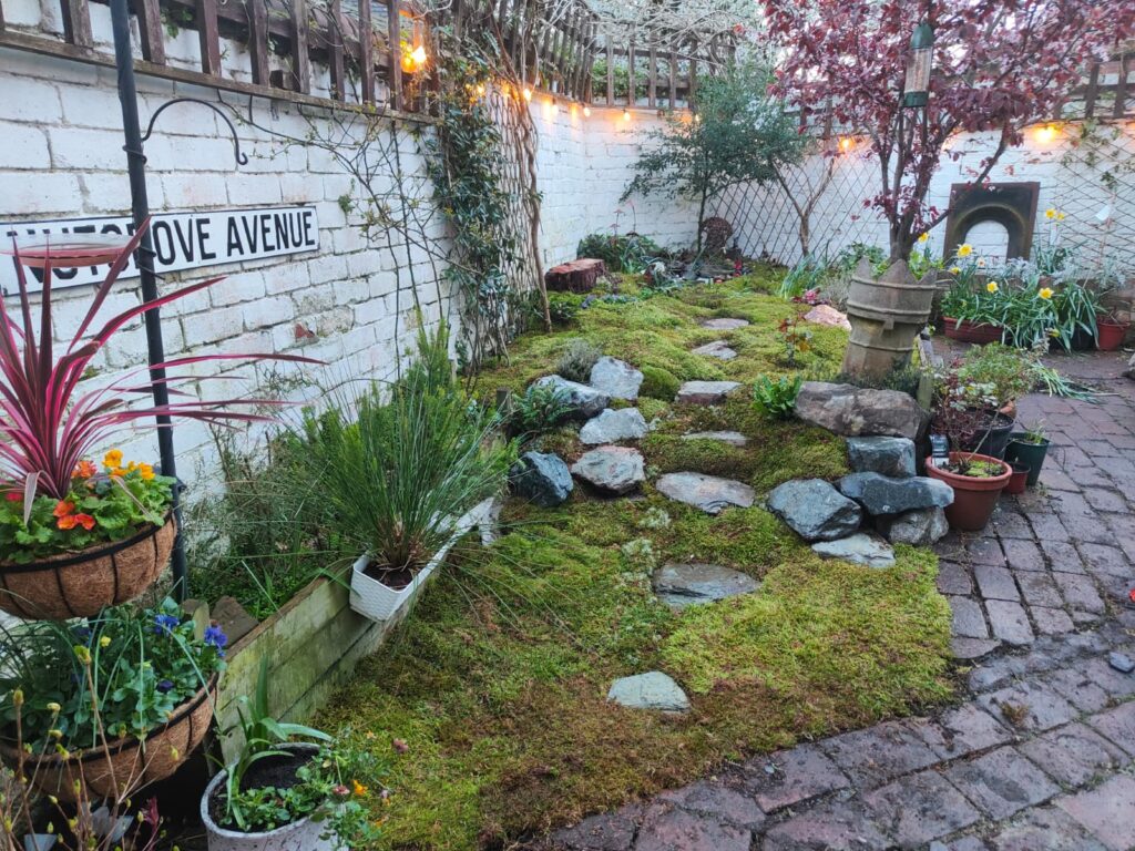 Fresh Live Sheet Carpet Moss – Seasonal Variety