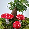 Decorative mushrooms in lush moss with potted plant, creating whimsical indoor scene.