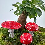 Glow in the Dark Red Mushroom Decoration