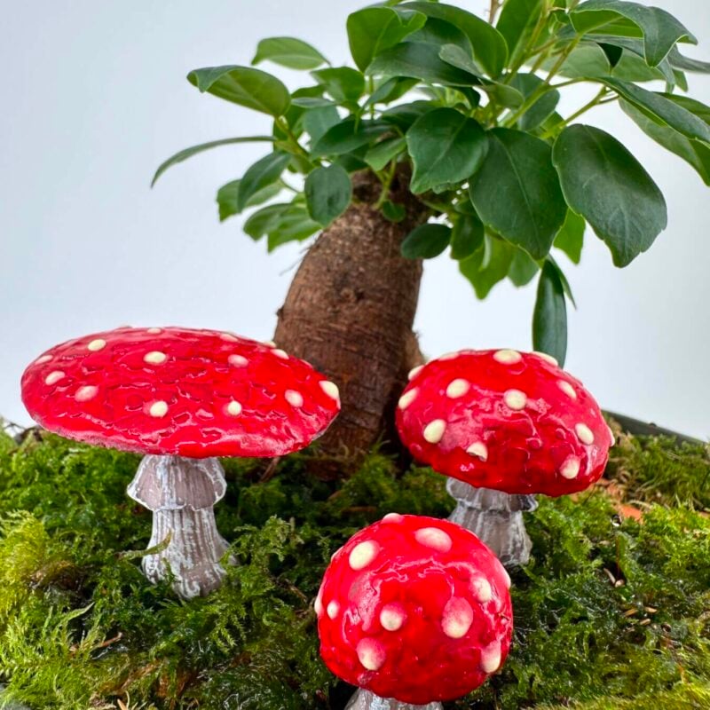 Decorative mushrooms in lush moss with potted plant, creating whimsical indoor scene.