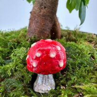 A vibrant red mushroom with white spots in lush green moss beside a twisted tree trunk.
