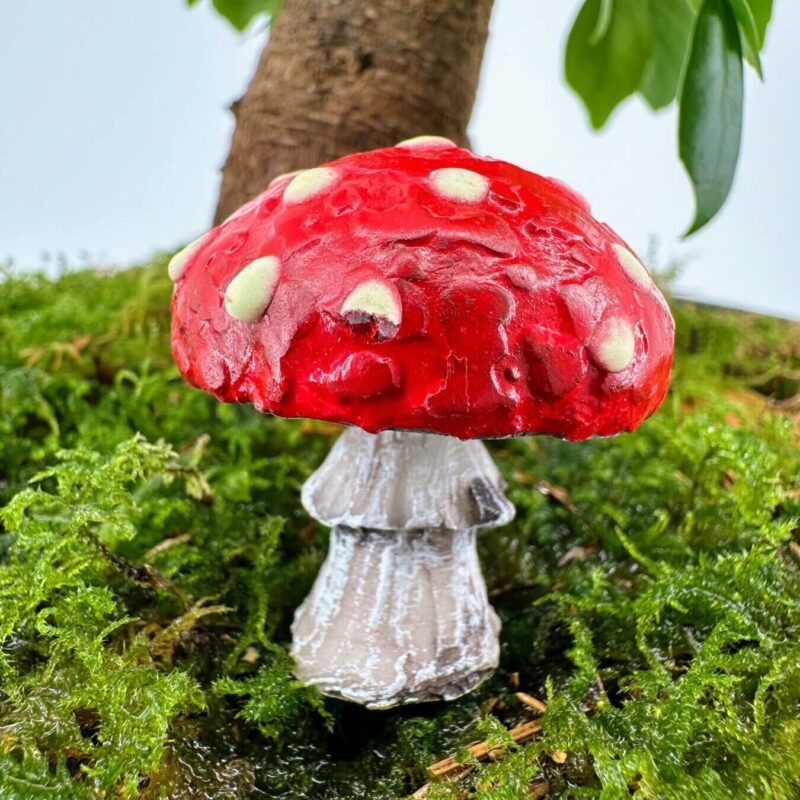 Enchanted Red Mushroom in Mossy Forest Scene Red mushroom with white spots in lush green moss forest scene.