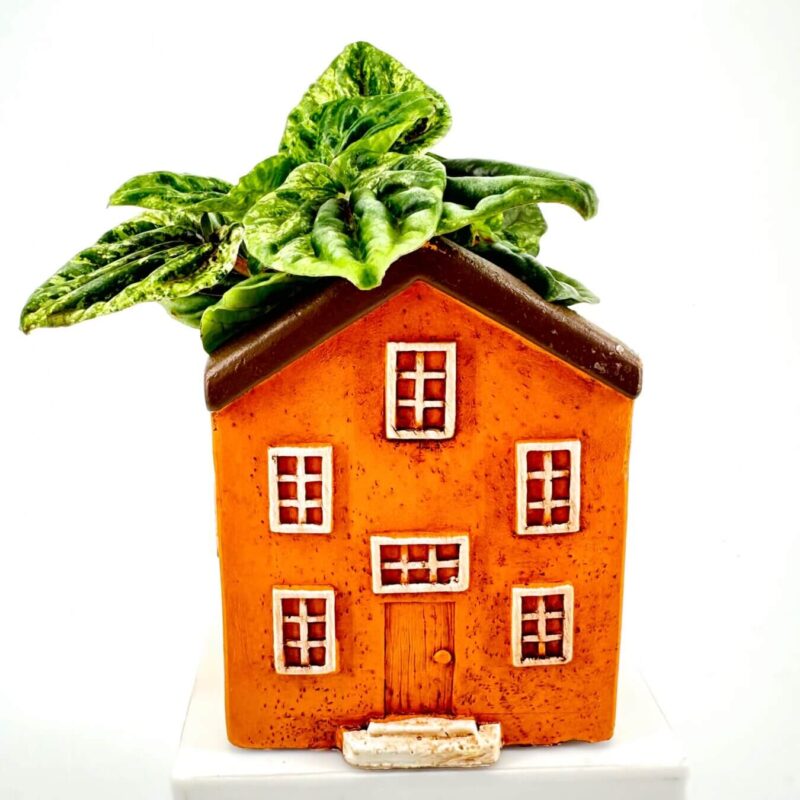 Whimsical Orange House Planter with Lush Greenery House-shaped orange planter with lush green leaves, rustic charm, and cosy home decor appeal.