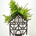 Decorative house-shaped planter with ferns, rustic charm, white, brown detailing, ceramic texture.
