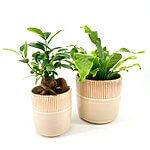 Rustic Vintage Brown Glazed Planter