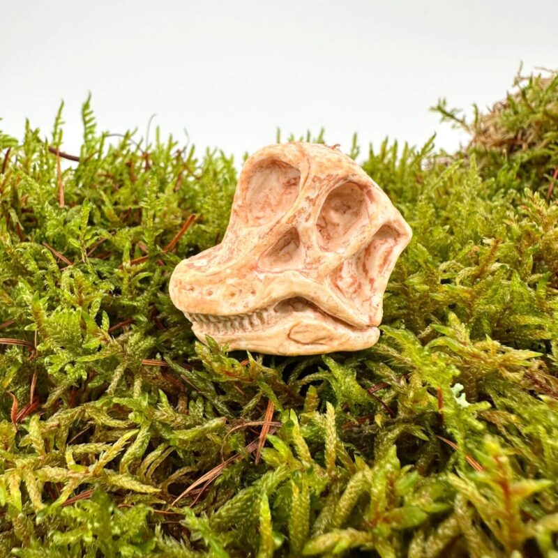 Prehistoric Skull Amidst Lush Green Moss Dinosaur skull replica on lush green moss, highlighting prehistoric themes and natural beauty.
