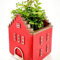 Red house-shaped planter with lush green foliage on white background.
