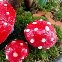 Fantasy red mushrooms with white dots in mossy forest setting.
