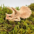 Triceratops skull sculpture surrounded by lush green moss, evoking prehistoric ambiance.
