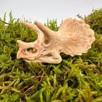 Triceratops skull sculpture surrounded by lush green moss, evoking prehistoric ambiance.