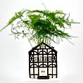 House-shaped planter with green Asparagus ferns in a black and white design.