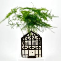 House-shaped planter with green Asparagus ferns in a black and white design.