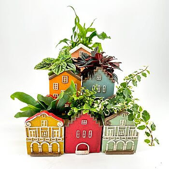 House-shaped plant pots with vibrant colours and lush greenery create a whimsical display.