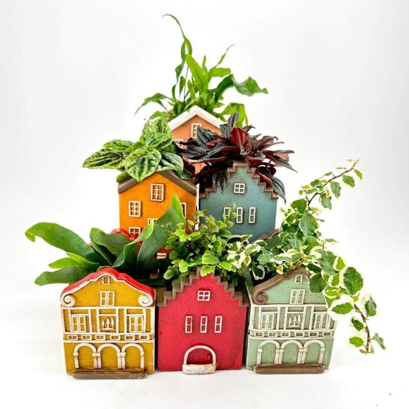 House-shaped plant pots with vibrant colours and lush greenery create a whimsical display.