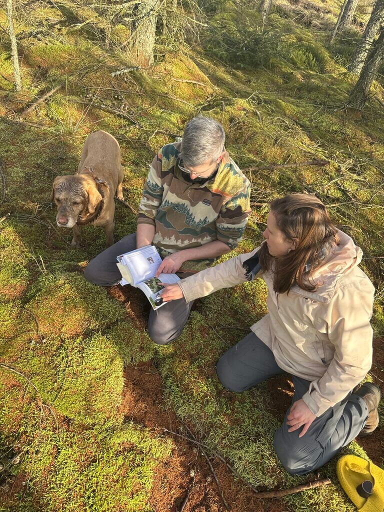 People and dog exploring serene woodland, studying nature with booklet, amidst vibrant greenery.