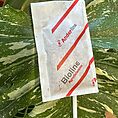 Bioline Agrosciences Anderline packet on green leaf, agricultural plant care product.