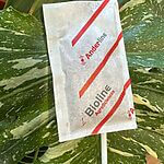 Slow Released Sachets for Red Spider Mite Pest Amblyseius Andersoni