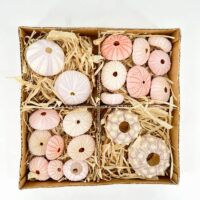 Box of assorted decorative seashells on straw, perfect for beach-themed decor or crafts.