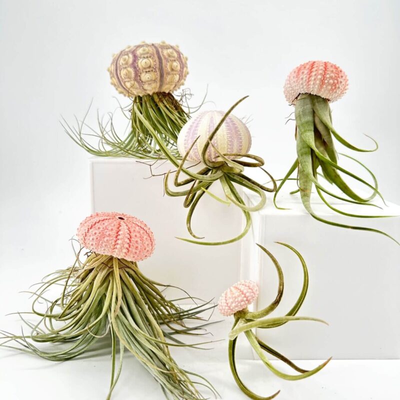 Ethereal Sea-Inspired Sculptures with Organic Elegance Artistic jellyfish-like sculptures with organic tendrils on minimal pedestals in soft tones.