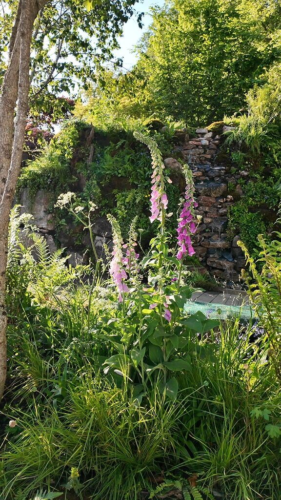 Serene garden with vibrant foxglove flowers, cascading waterfall, and lush greenery.