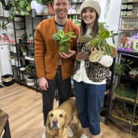 Kokedama DIY Kit - Create Your Own Moss Ball Art