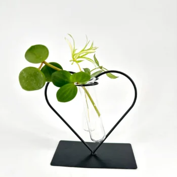 Heart-shaped metal plant holder with glass tubes displaying vibrant indoor greenery.