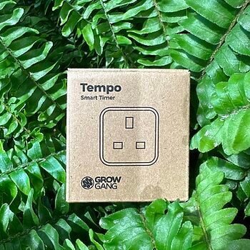 Smart timer box among green ferns for eco-friendly gardening automation.